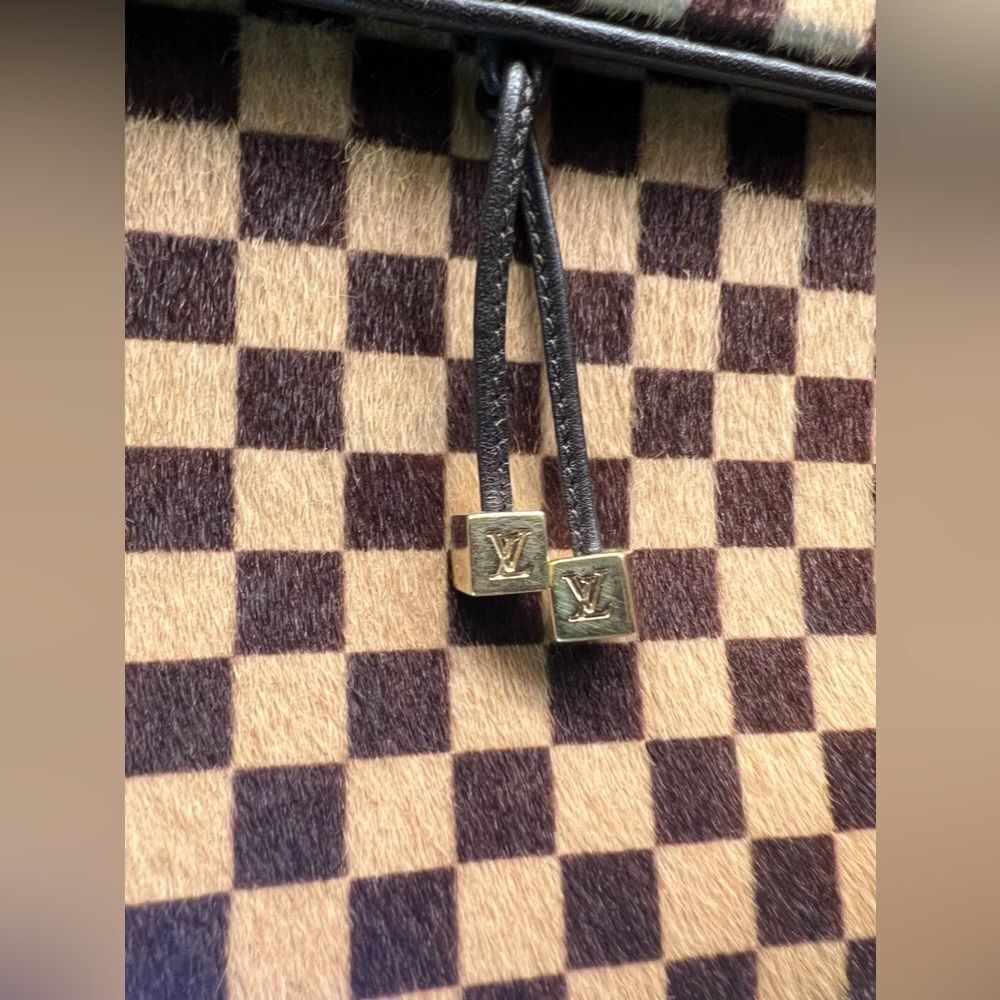 AUTH LOUIS VUITTON DAMIER SAUVAGE PONY HAIR BAG